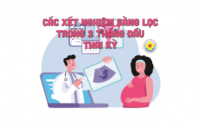 Các xét nghiệm sàng lọc trước 3 tháng đầu thai kỳ