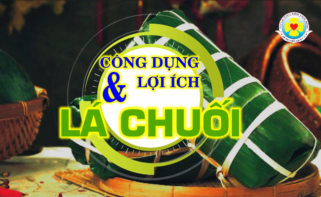 Công dụng và lợi ích lá chuối - Bệnh viện quận 11